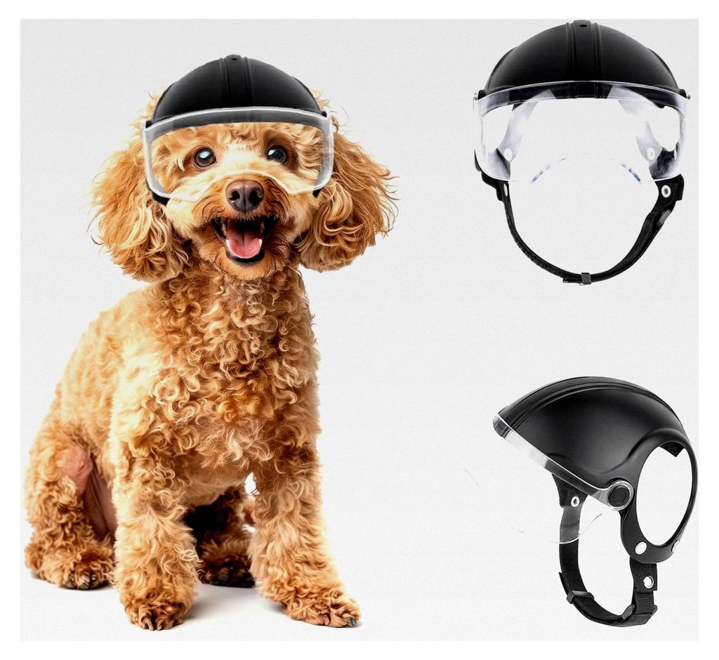 Hundehelm für kleine Hunde mit klaren Brillen, verstellbar, schwarz