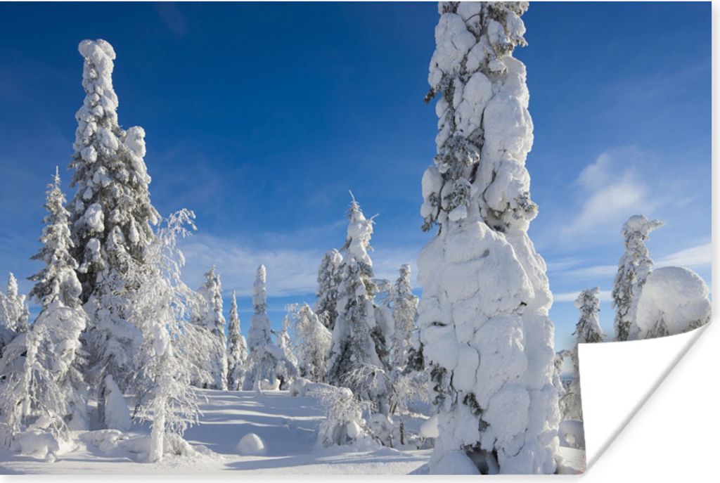 MuchoWow Poster Ein blauer Himmel über der winterlichen Landschaft in Lappland 60x40 cm - Schlafzimmerdekoration