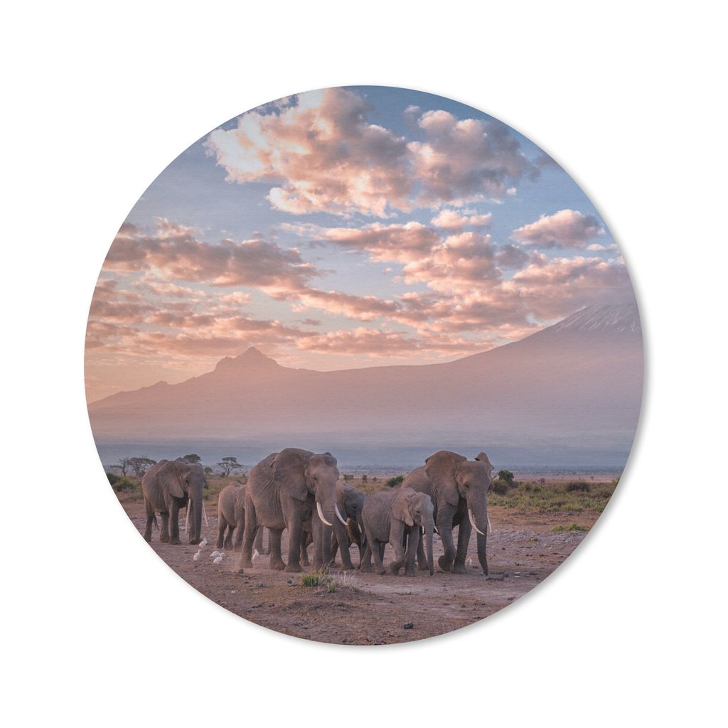 MuchoWow Mauspad Mousepad Elefant - Tiere - Abend - Landschaft - Savanne 50x50 cm - Mousepads - Maus Mat - Pad - Mausunterlage - Vinyl