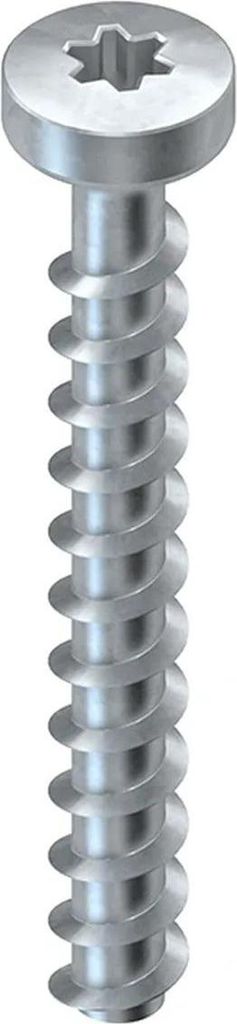 Kleinhuis Schraubanker E00, Flachkopf, Ø 5 mm, Länge 35 mm, Torx T30, 1 Stk.