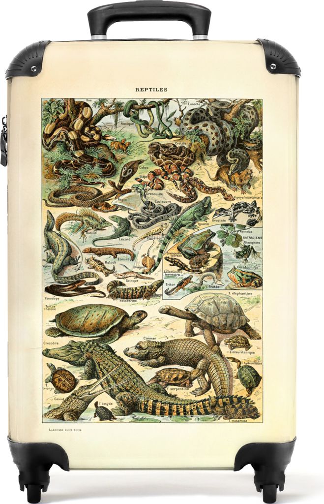 NoBoringSuitcases.com Koffer Handgepäck Trolley Rollkoffer Kleine Reisekoffer mit 4 Rollen - Vintage - Reptilien - Tiere - Illustration - Kunst ...