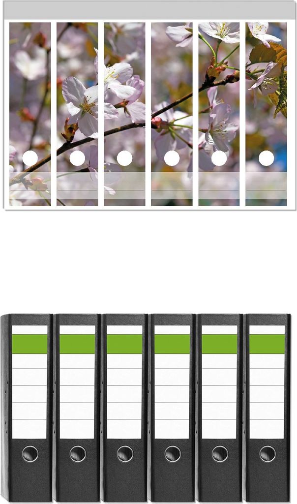 Wallario 6 Stück breite Ordner inkl. Klebeetiketten mit Motive Kirschblüten in zartem Rosa - Frühling im Garten - Set mit Rückenschildern / Or...