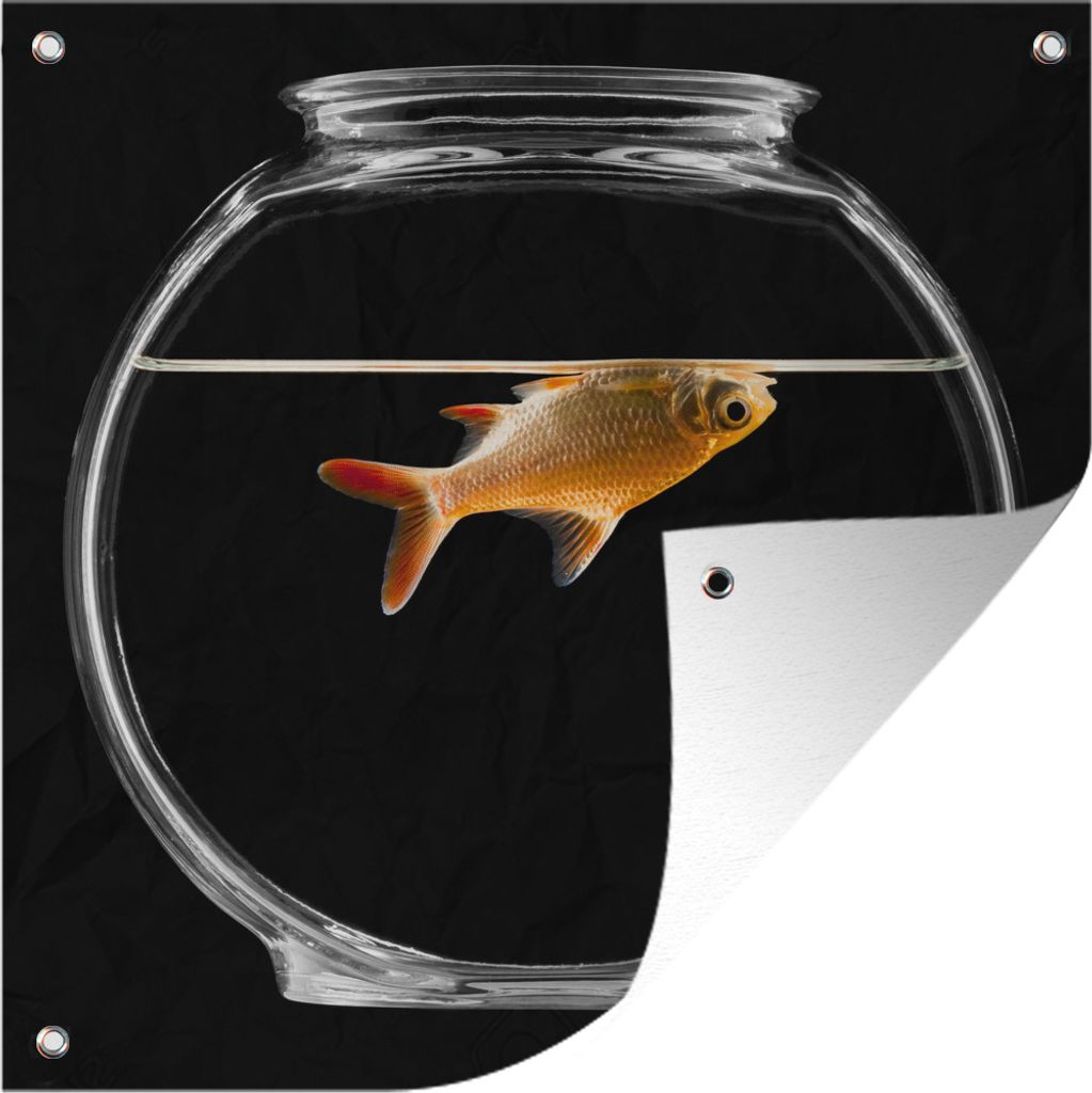 MuchoWow 100x100 cm Outdoor-Poster Gartendeko Sichtschutz Garten Poster für den Garten Goldfisch in Schale