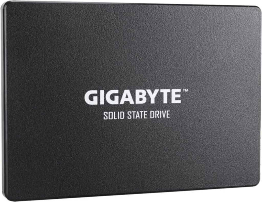 GIGABYTE Gigabyte GP-GSTFS31100TNTD disque dur interne 2.5" Image du produit 