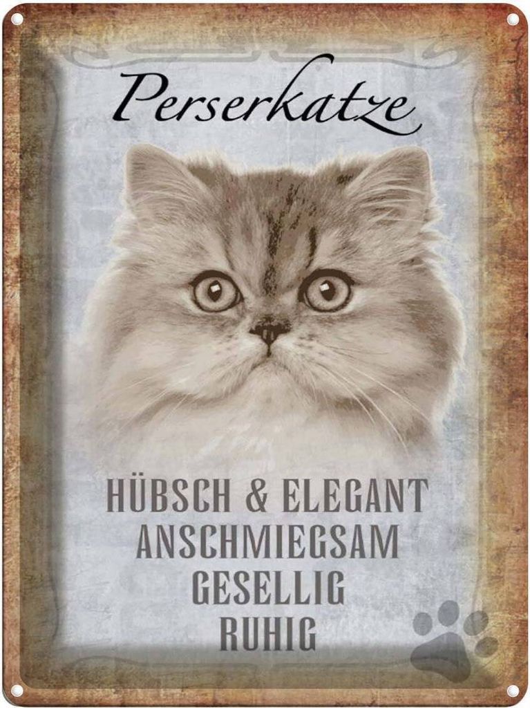 vianmo Blechschild 40x30 cm Perserkatze Katze hübsch