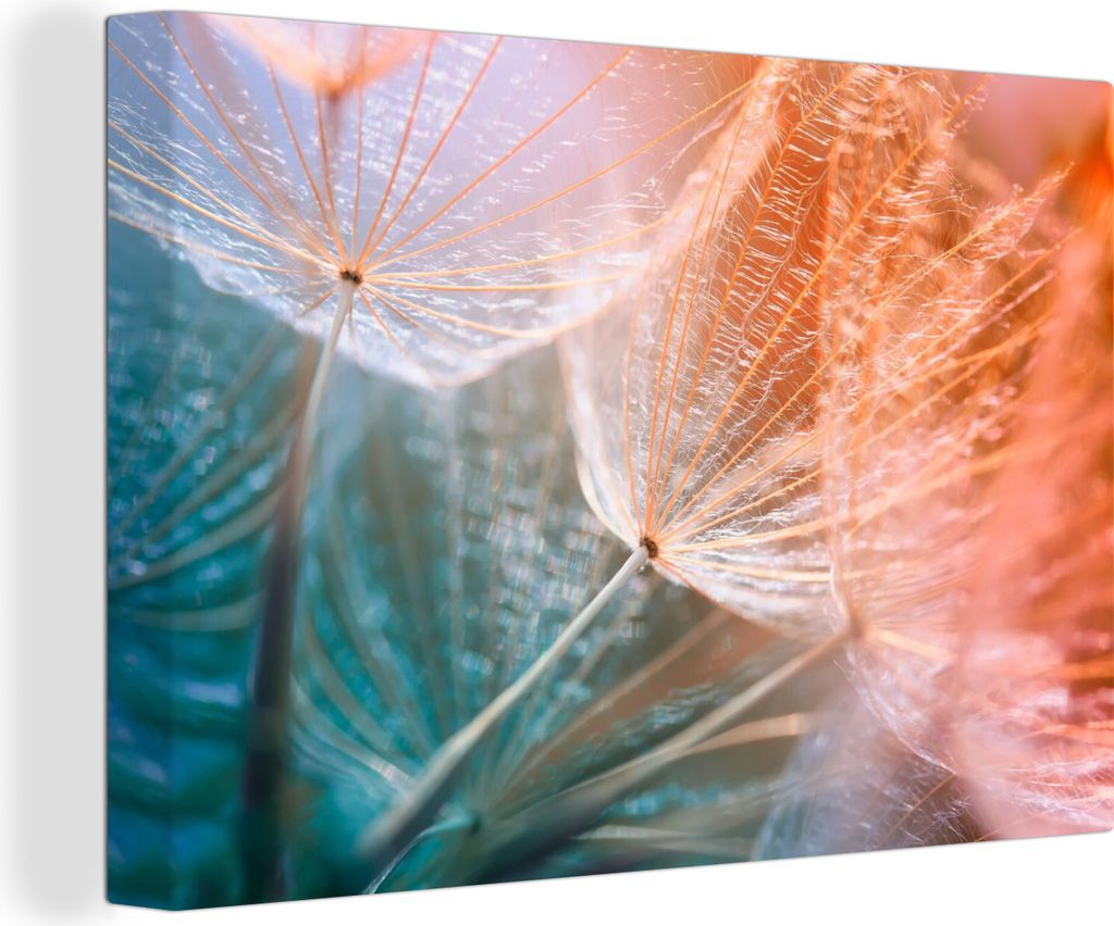OneMillionCanvasses - Leinwandbilder - 140x90 cm, Blume - Löwenzahn - Pflanze, Wandbilder Kunstdruck Wanddekoration - Foto auf Leinwand - Gemäl...
