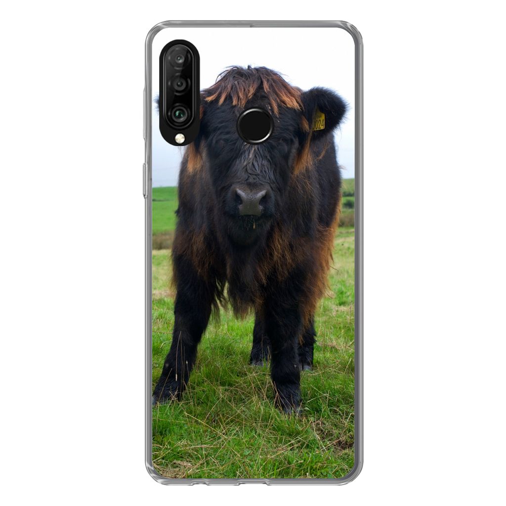MuchoWow Handyhülle Schutzhülle Hülle für Huawei P30 Lite Schottische Highlander - Kühe - Natur - Grün - Gras Silikon Softcase Handy Hülle...