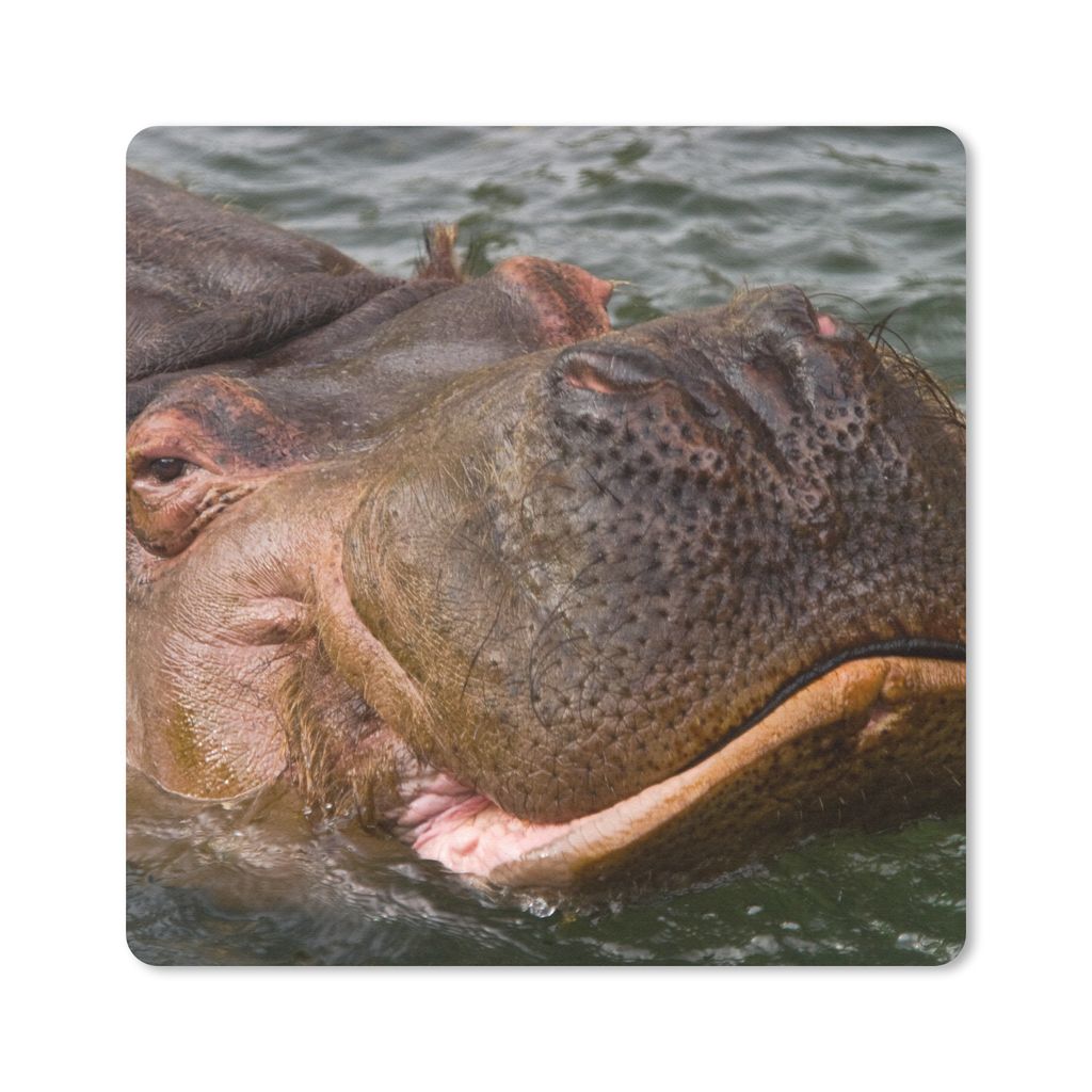 MuchoWow Mauspad Mousepad Nilpferd - Wasser 20x20 cm - Mousepads - Maus Mat - Pad - Mausunterlage - Desk Mat - Bureauartikeln