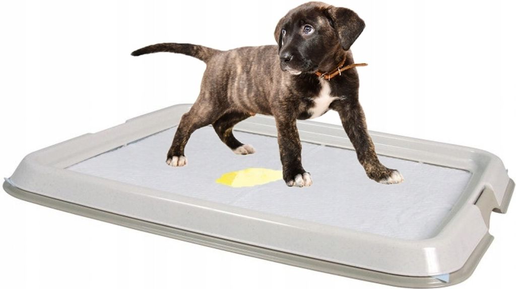 Toaleta Trixie Puppy Loo Cub - 48,5 × 40,5 cm Obrázok produktu 3