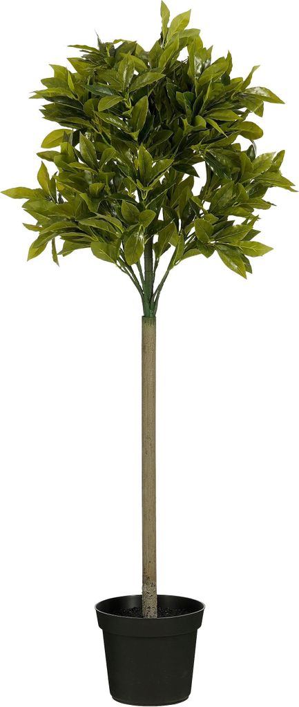 Mica Decorations Umělá rostlina vavřín - H120 x Ø40 cm - Obrázek produktu 