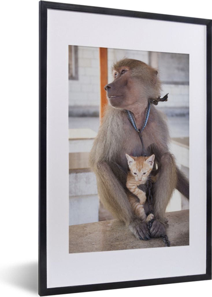 MuchoWow MuchoWow Gerahmtes Poster Affe - Katze - Kette 40x60 cm - Poster mit zchwarzem Bilderrahmen - Poster in Rahmen