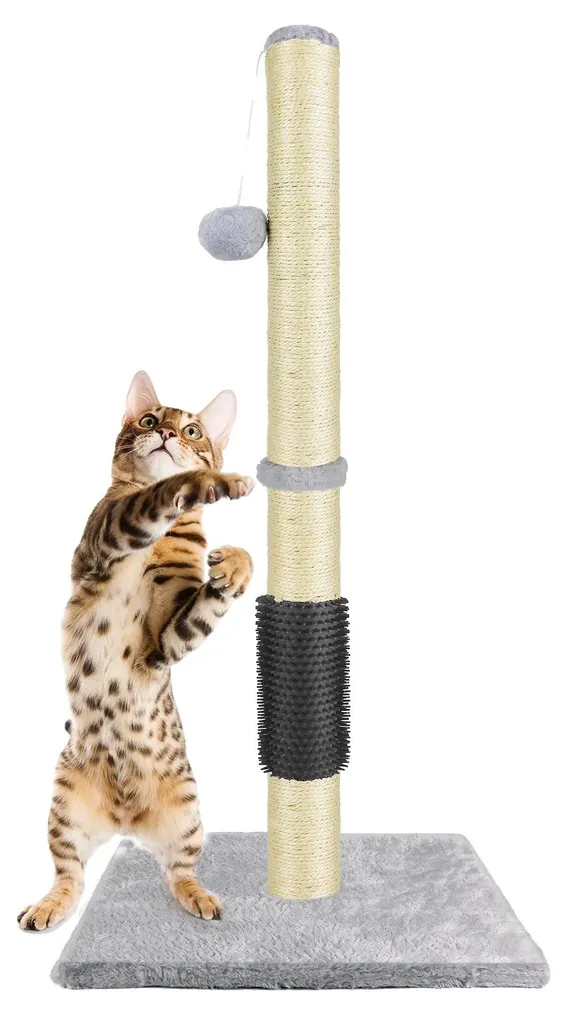 Petit arbre à chat avec colonne en sisal et plateforme de repos 80 cm