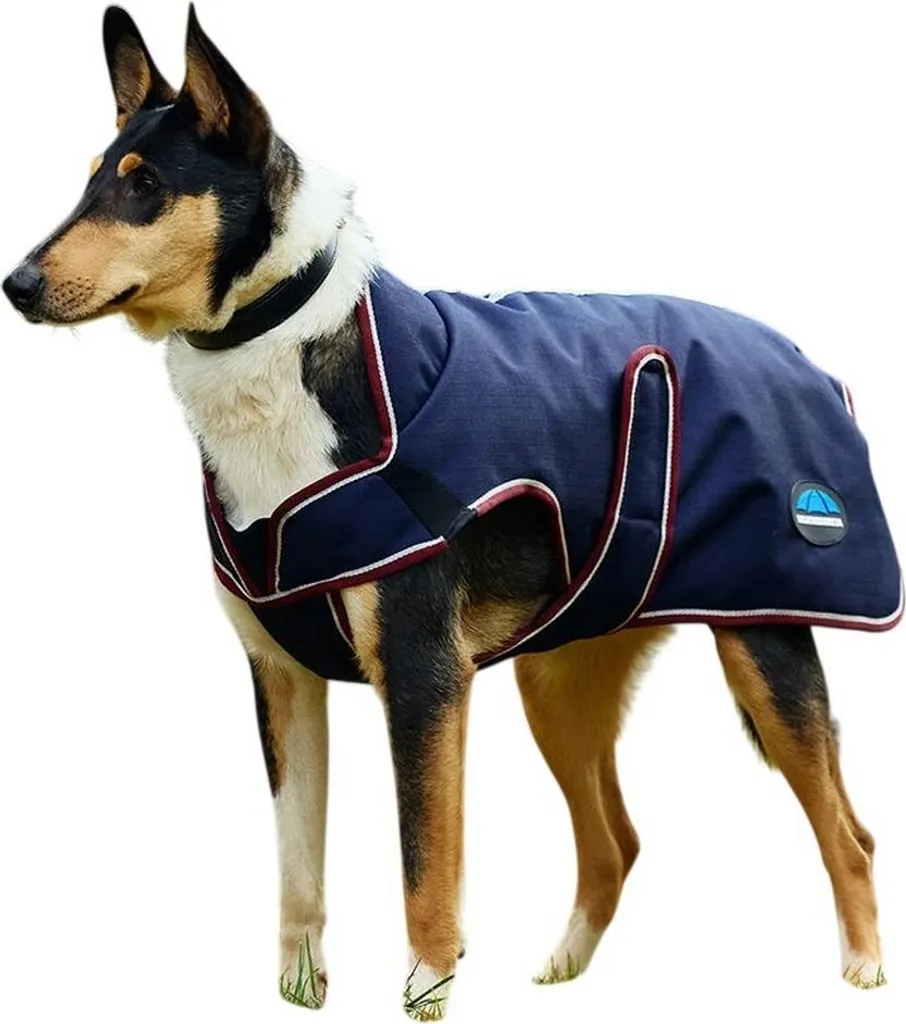 Weatherbeeta ComFiTec Premier Deluxe 30cm Navy/Burgundy - Dog Coat