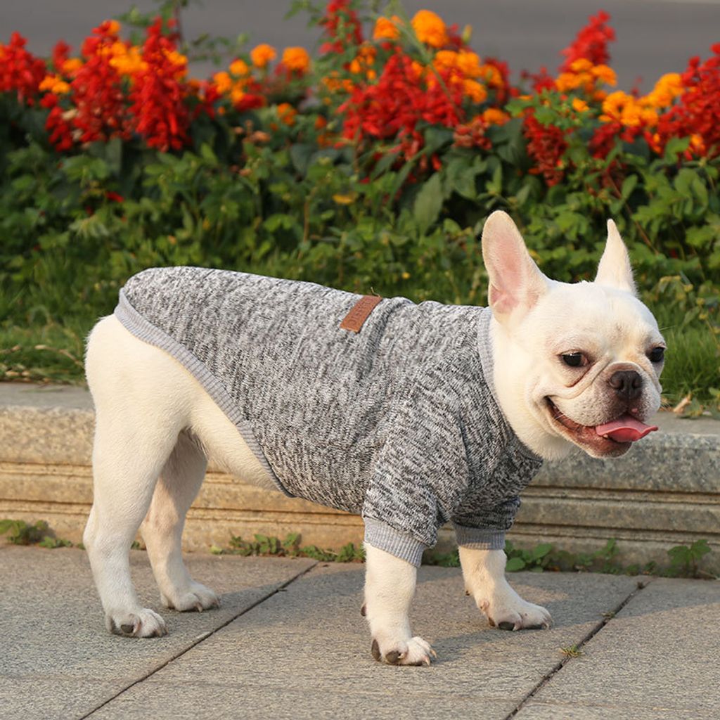 Graues wärmendes Hundesweatshirt aus 100% Baumwolle mit Produktbild 