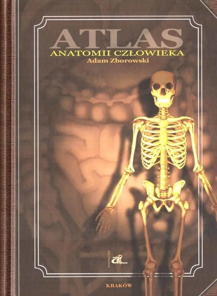 Atlas anatomie humaine : illustrations haute définition et nomenclature médicale