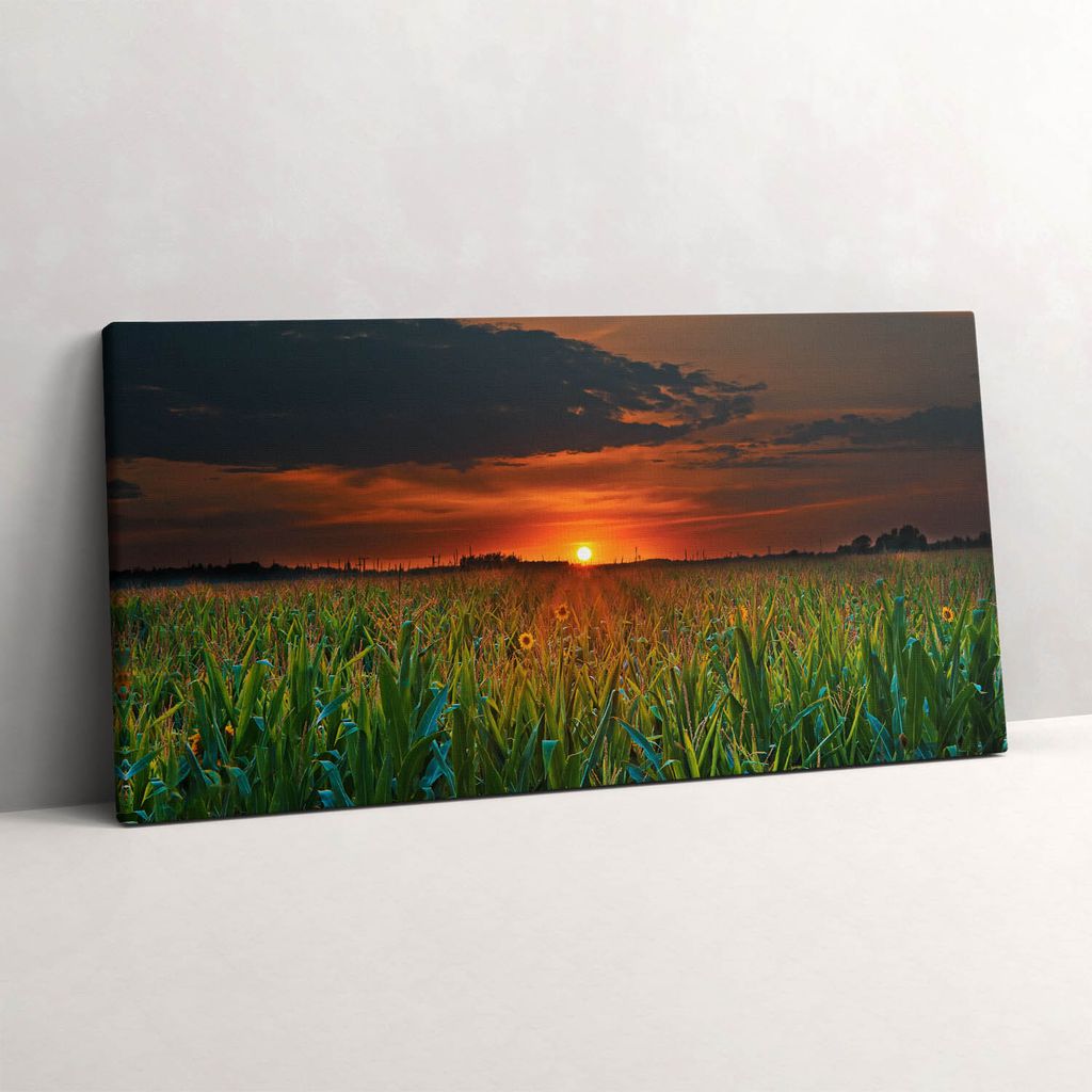 Sonnenblumen auf der Wiese – Leinwandbild Wandbild – 140x70 cm – Leinwandbilder – Wandbilder – Schlafzimmer – Flur