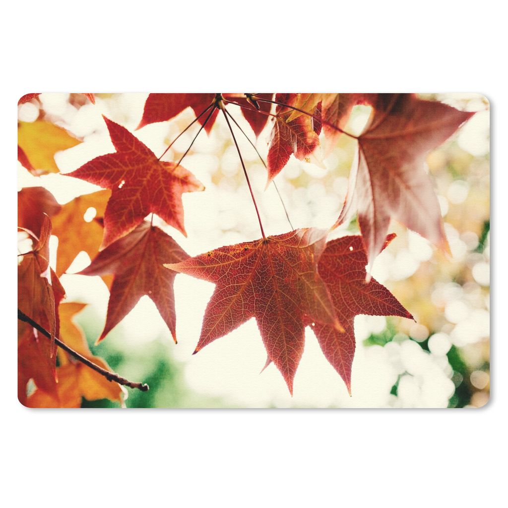 MuchoWow Schreibtischunterlage Herbstblätter - November - Natur - Bäume 60x40 cm - XXL Mauspad - Großes Mauspad