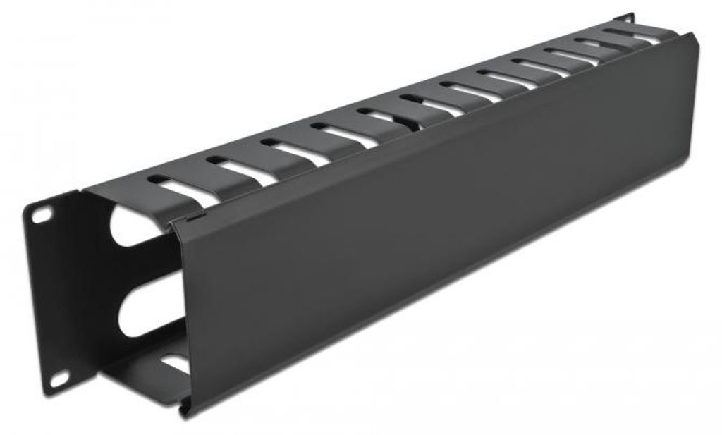 Delock 19" Kabelmanagement Rangierpanel mit 4 Цffnungen 2 HE schwarz