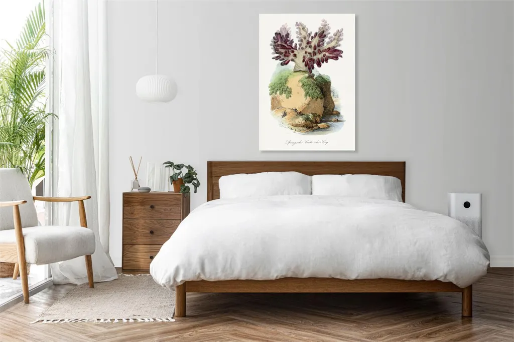 Quadro Corallo Spugnoso 60x90 Gervais Vintage per Soggiorno Classico - 3