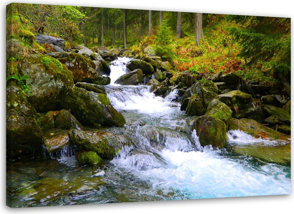 Leinwandbild bergbach naturlandschaft 100x70 cm Feeby grün wandbild bereit zum aufhängen