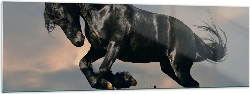 Bilder auf glas - Wolke Pferd Wiese Natur - 160x50cm - Glasbilder - Wandbilder - Kunstdruck - zum Aufhängen bereit - Wanddekoration aus Glas - Gla...