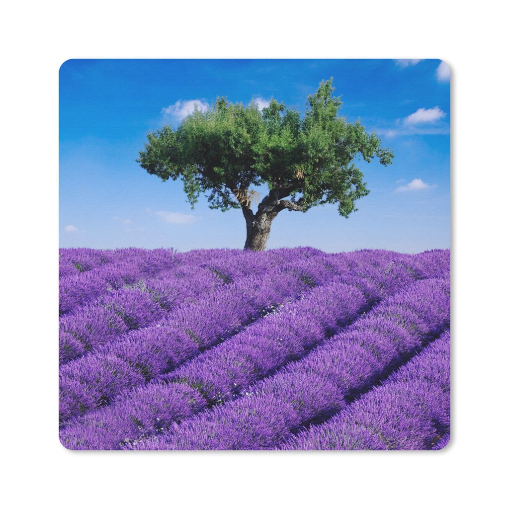 MuchoWow® Mauspad Mousepad Eine Nahaufnahme eines Produktbild 