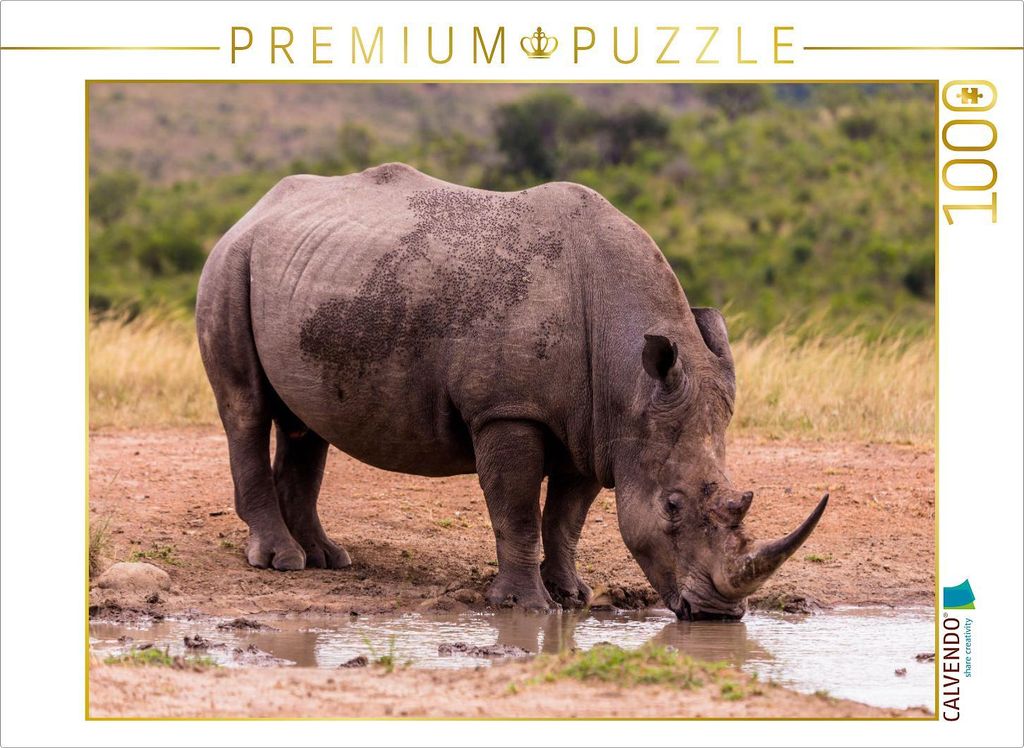CALVENDO Puzzle Brackwasser-Genuss | 1000 Teile Lege-Größe 64x48cm Foto-Puzzle für glückliche Stunden