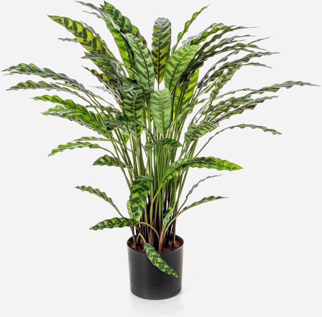 artplants.de Deko Pflanze Calathea Rufibarba ADELFRIEDE, grün, 85cm - Kunstpflanze