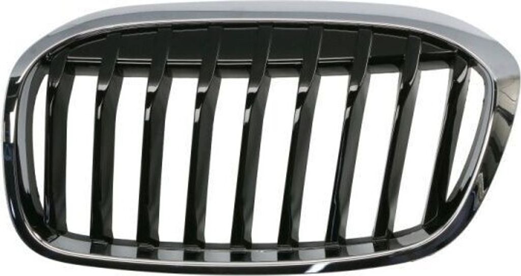 Kühlergitter BLIC 6502-07-0071991P