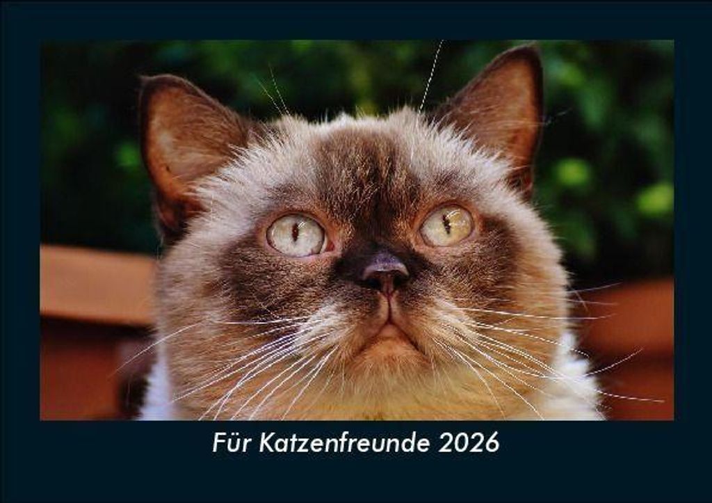 Für Katzenfreunde 2026 Fotokalender DIN A5