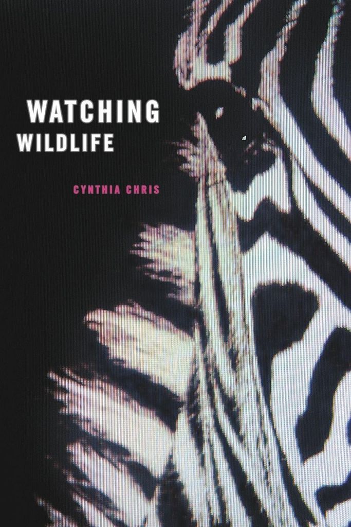 Watching Wildlife.by Chris New