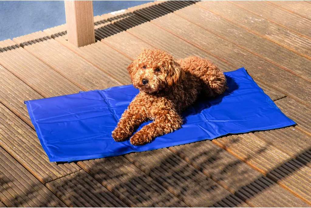 Finis les Coups de Chaud : Tapis Refroidissant Chien 50x90cm Lot de 4