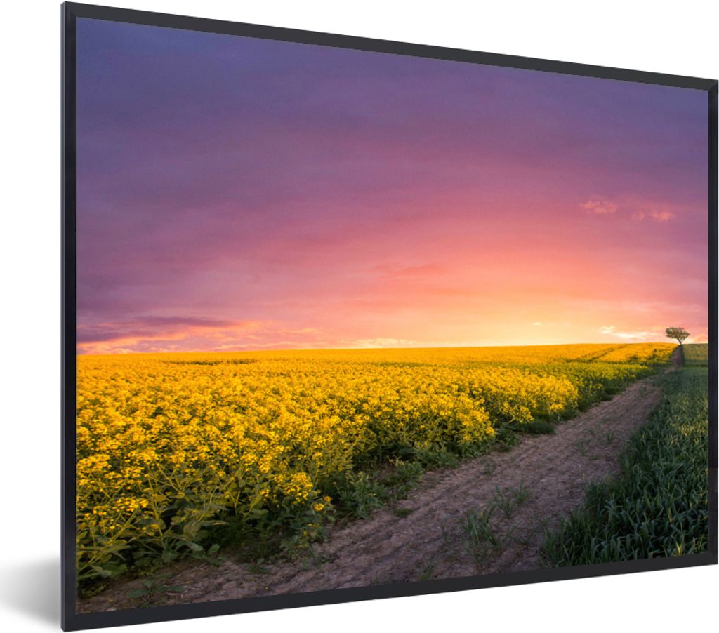 MuchoWow Gerahmtes Poster Blumen - Straße - Himmel - Gelb - Lila - Sonnenuntergang - Natur 40x30 cm - Poster mit Schwarzem Bilderrahmen Wandpost...