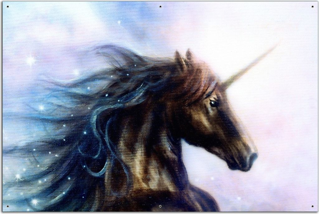 Wallario Outdoor-Poster für Garten oder Balkon, Motiv Einhorn gezeichnet auf Leinwand, in ca. 61 x 91,50 cm