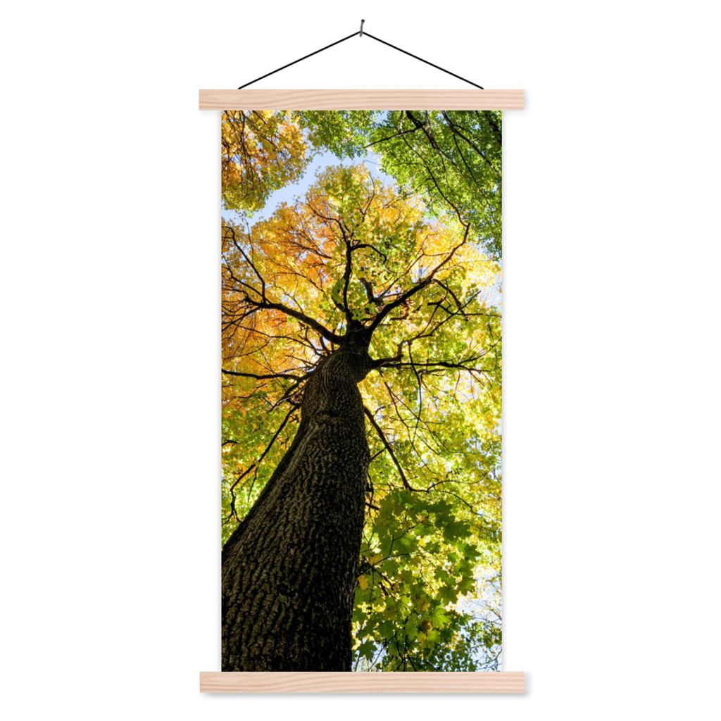 MuchoWow Textilposter Baum - Natur - Wald 60x120 cm mit holzfarbenen Rahmen - Holz