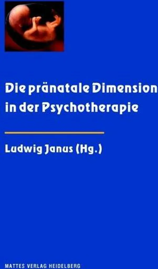 Guide de psychothérapie prénatale pour la pratique des thérapeutes