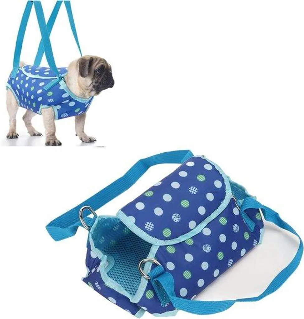 Soulagez le dos de votre chien âgé avec ce harnais bleu ergonomique