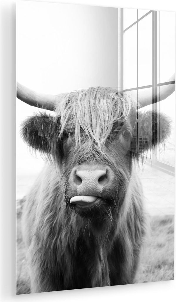 MuchoWow Glasbilder - Bilder auf Wandbild - Foto auf Glas Tiere - Schottisches Hochlandrind - Kuh - Schwarz - Weiß 40x60 cm Wanddekoration aus Gla...