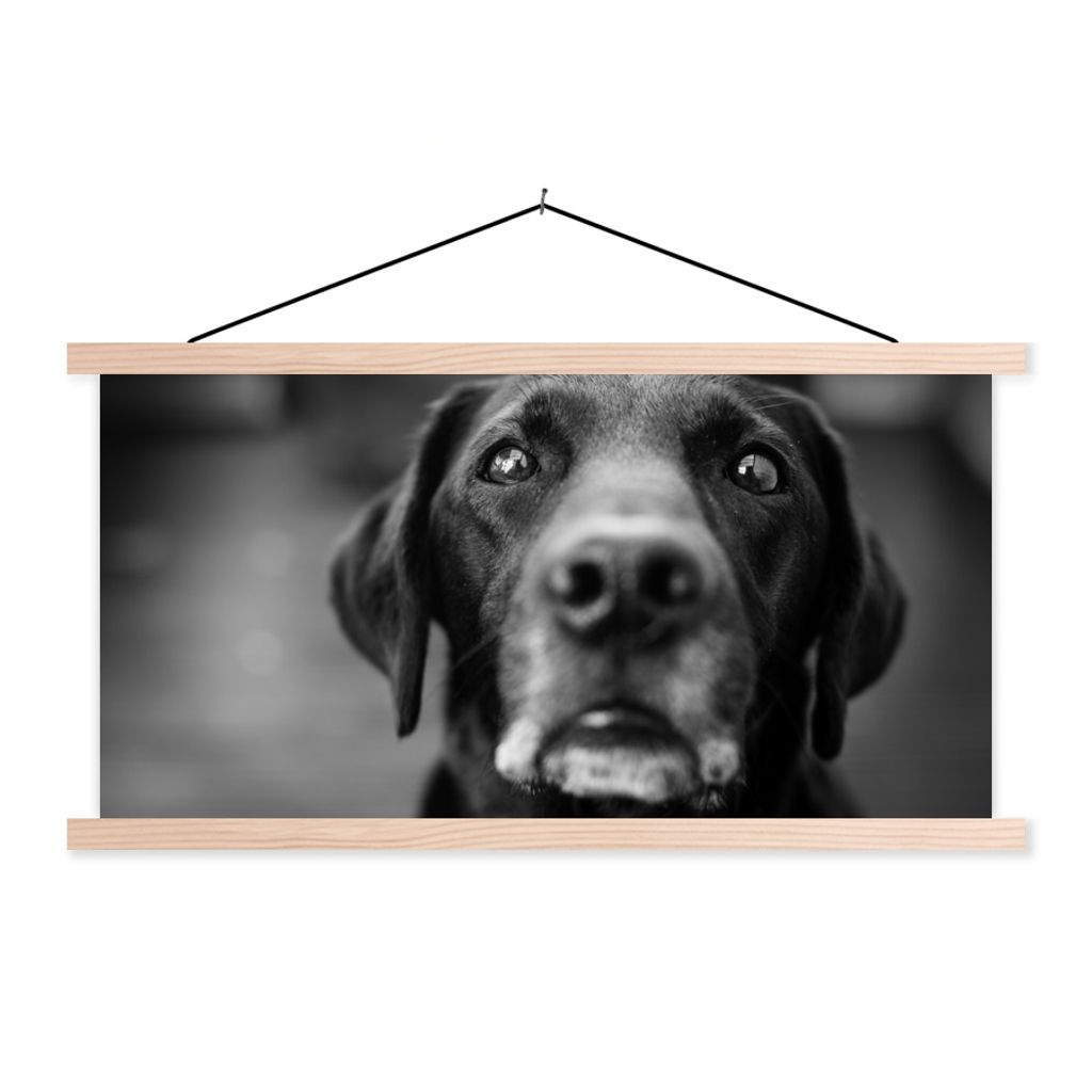 MuchoWow Textilposter Tierprofil Labrador Hund in schwarz und weiß 60x30 cm mit holzfarbenen Rahmen - Dekoration