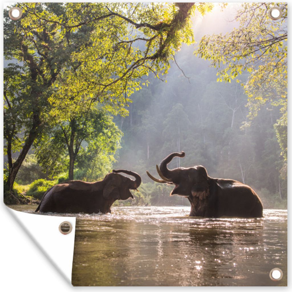 MuchoWow 50x50 cm Outdoor-Poster Gartendeko Sichtschutz Garten Poster für den Garten Spielende Elefanten