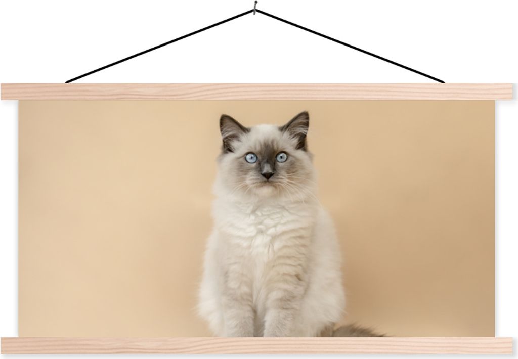 MuchoWow Textilposter Katze - Siamese - Porträt - Mädchen - Kinder - Jungen - Kinder 60x30 cm mit holzfarbenen Rahmen - Dekoration