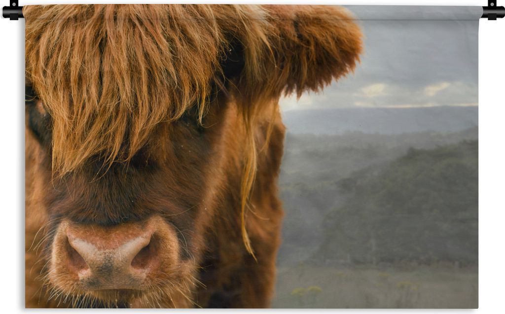 MuchoWow Wandteppich Wandbehang Schottischer Highlander - Orange - Nase 150x100 cm Tapisserie Dekoration Wandtuch - Waschbar - Tapisserien - Wand...