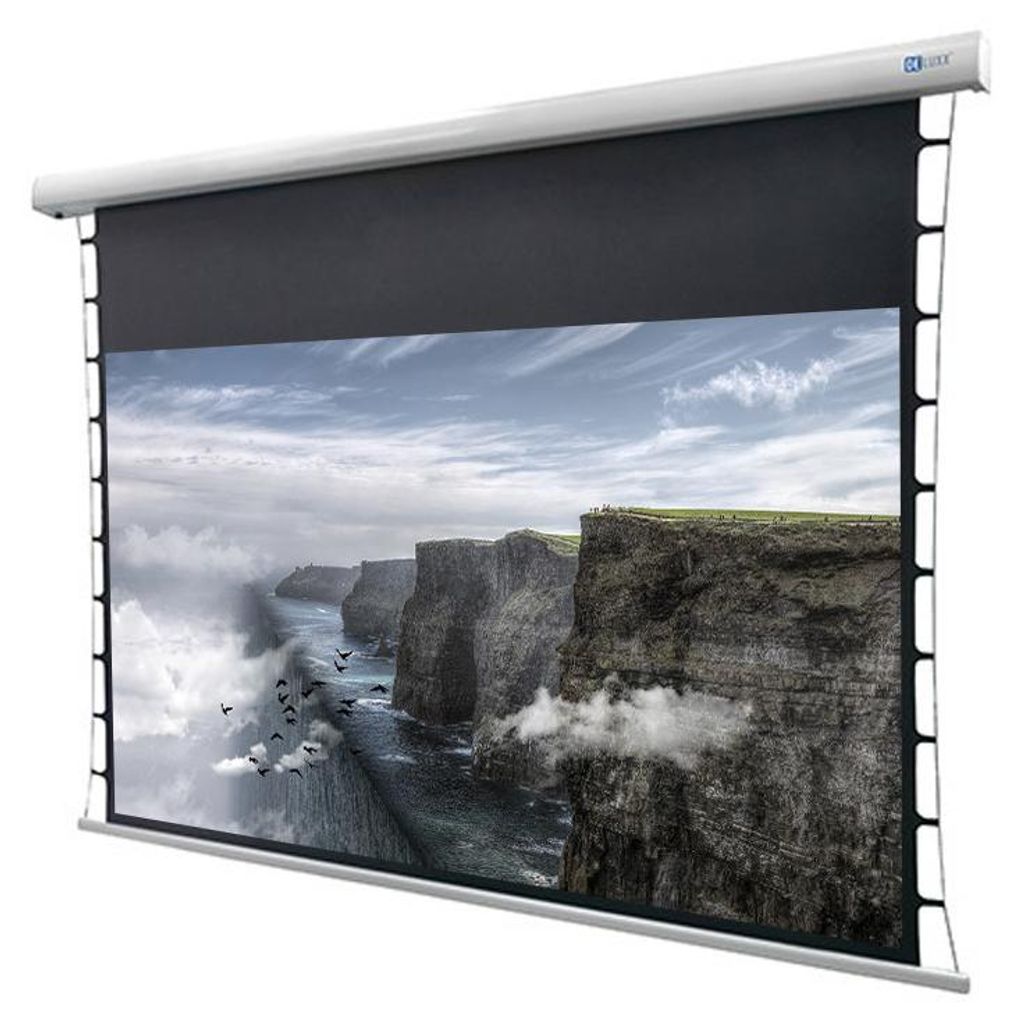 DELUXX Cinema Motorleinwand Tension 221 x 124cm, 100" - 4k Pro Fibre MWHT