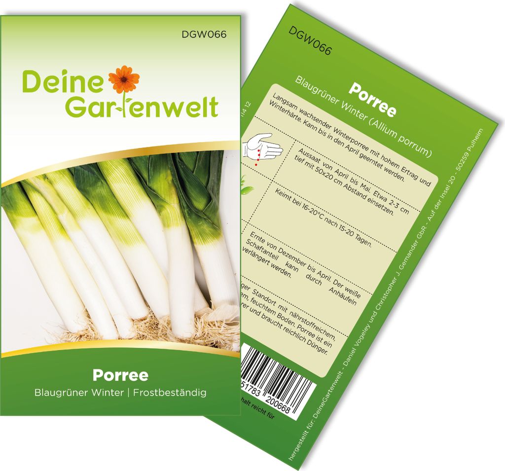 Porree Blaugrüner Winter Samen - Allium porrum - Porreesamen - Gemüsesamen - Saatgut für 150 Pflanzen