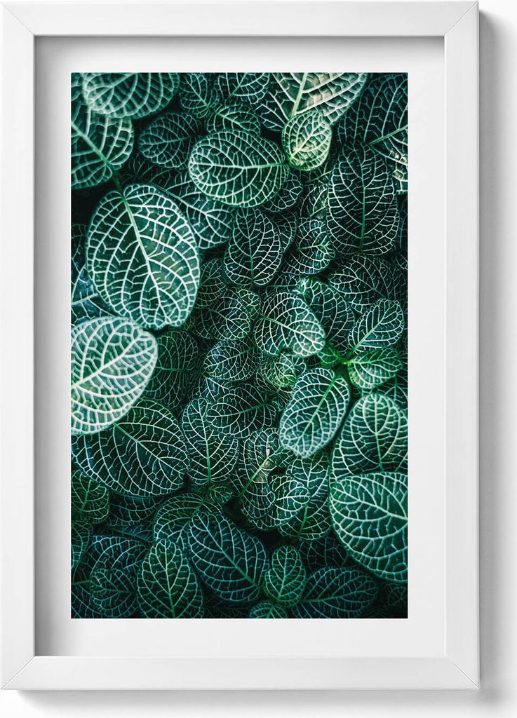 Grüne wilde Blätter– Wandbild mit Rahmen – Gerahmtes Bild – Wanddekoration – 20x30 cm – Weiß
