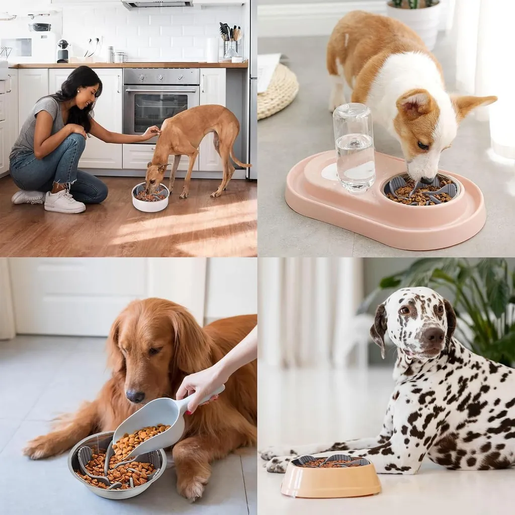 Barquette anti-choc contre la suralimentation canine : aide au repas
