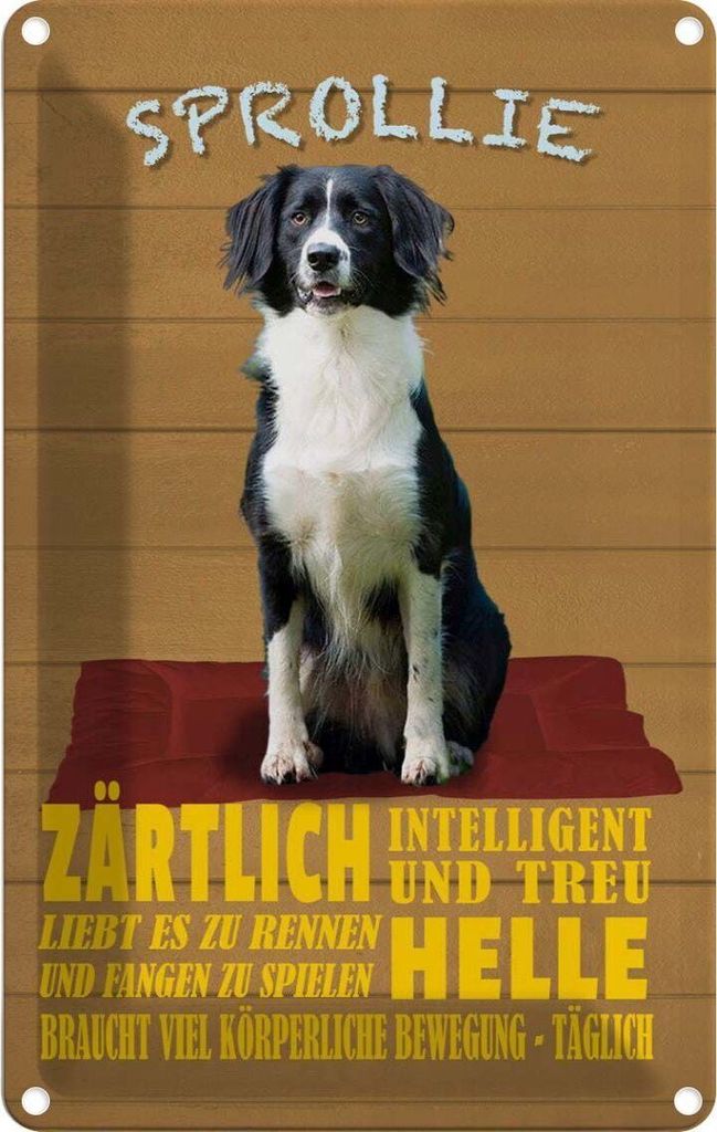 vianmo Blechschild 18x12 cm Sprollie Hund zärtlich und treu Tier Haustier