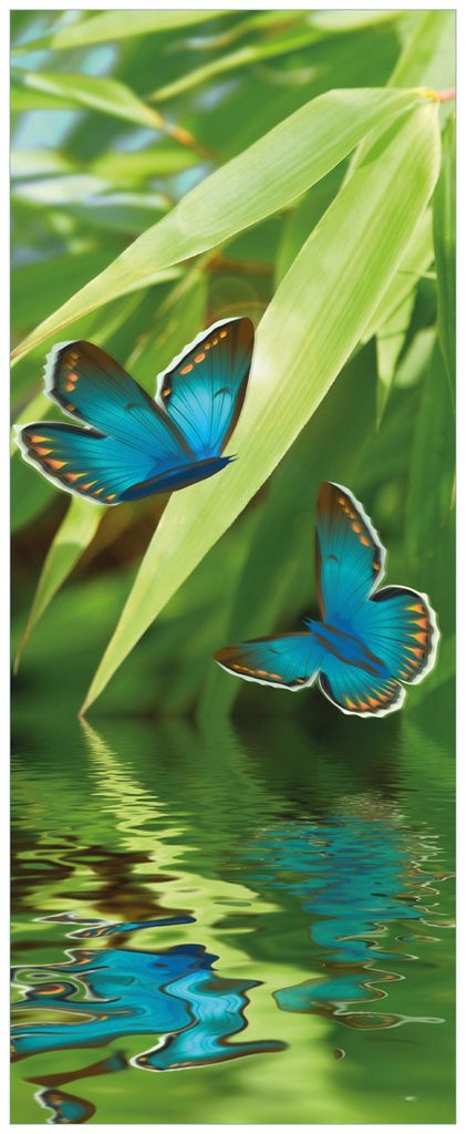 Wallario Premium Glasbild, freischwebende Optik, kräftige Farben, Größe 125 x 50 cm Motiv Schmetterlinge in Reflektion