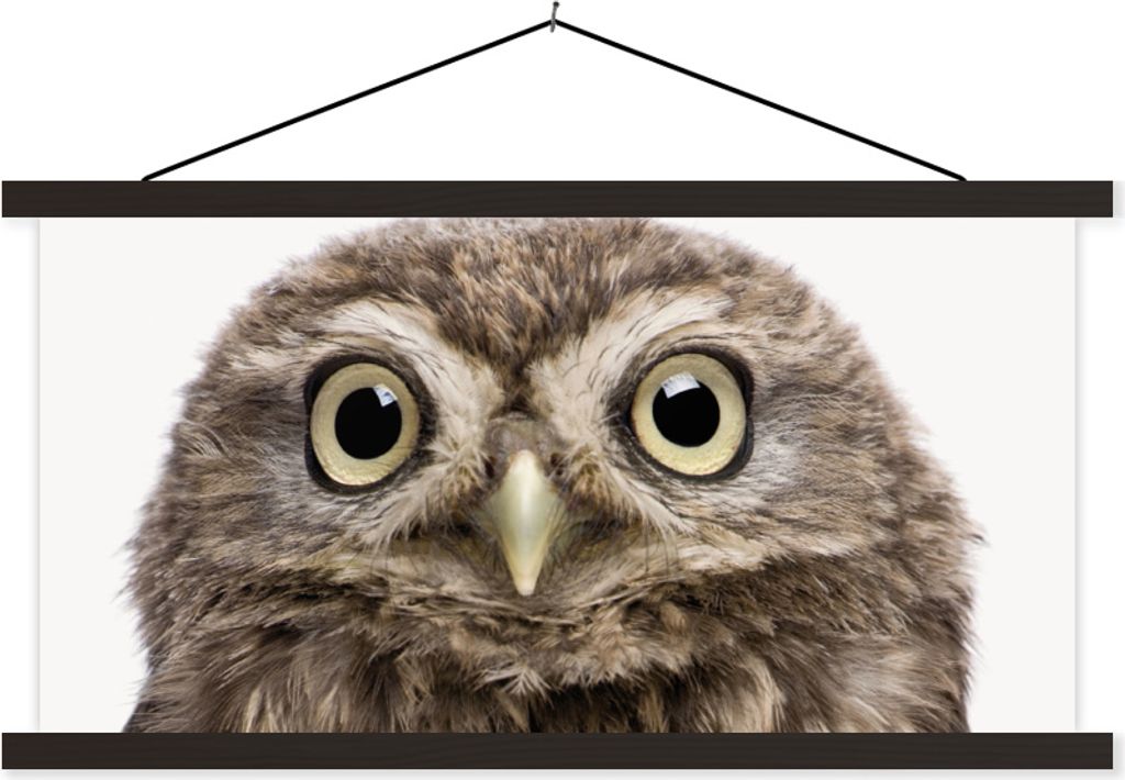 MuchoWow Textilposter Eule - Eule - Porträt - Braun - Vogel - Jungen - Mädchen 90x45 cm mit schwarzem Rahmen - Klemmleisten