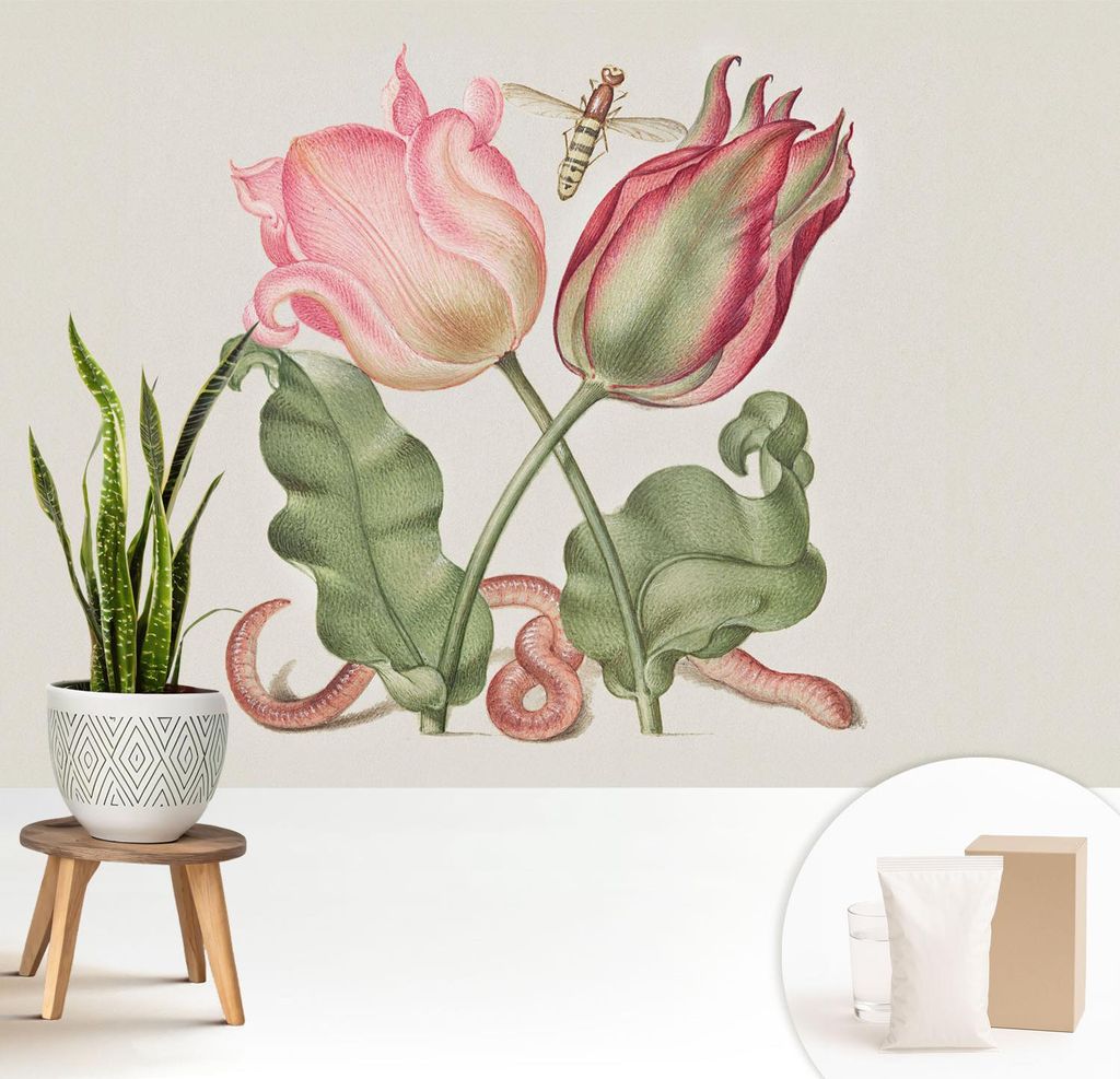 Fototapete - 208x146 cm - Tapete - Wandtapete - Wandbilder - Dekofolie - Tapete Folie - Wand - Dekoration - Wohnzimmer - Tulpenschönheit